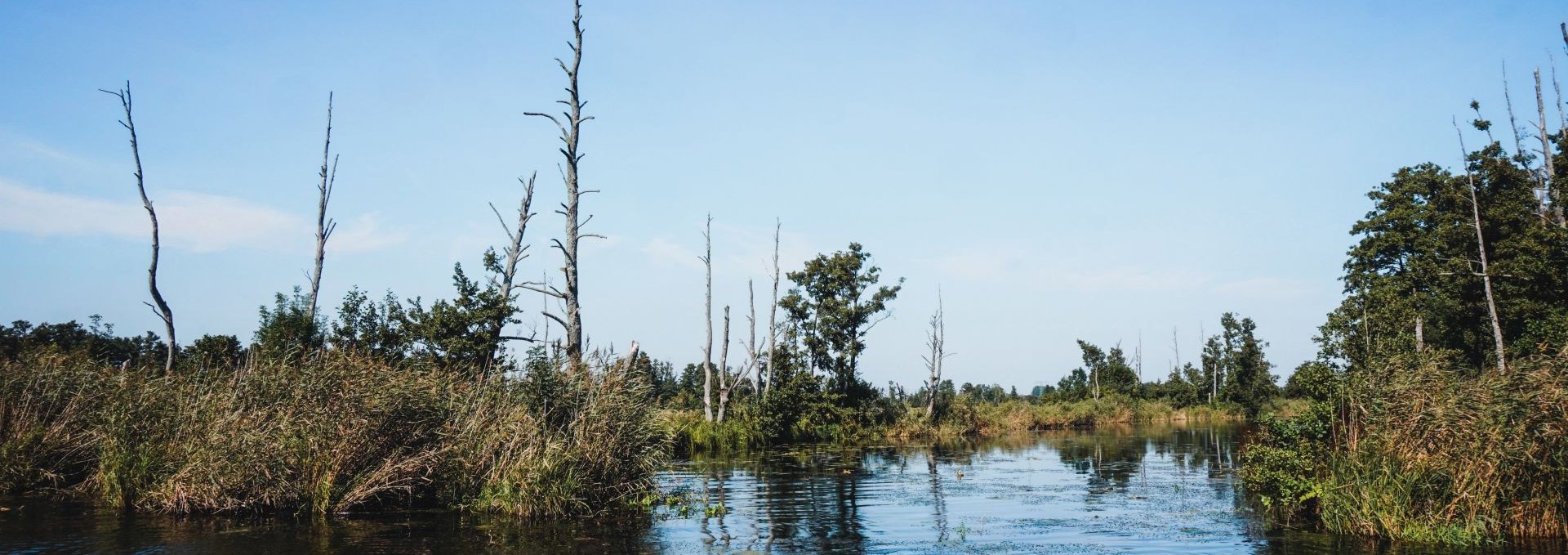 Canoeing on the Peene river allows you to enjoy nature to the fullest, © TMV/WorldonaBudget