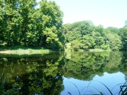 View of the lake from the lake terrace, © A. Brands