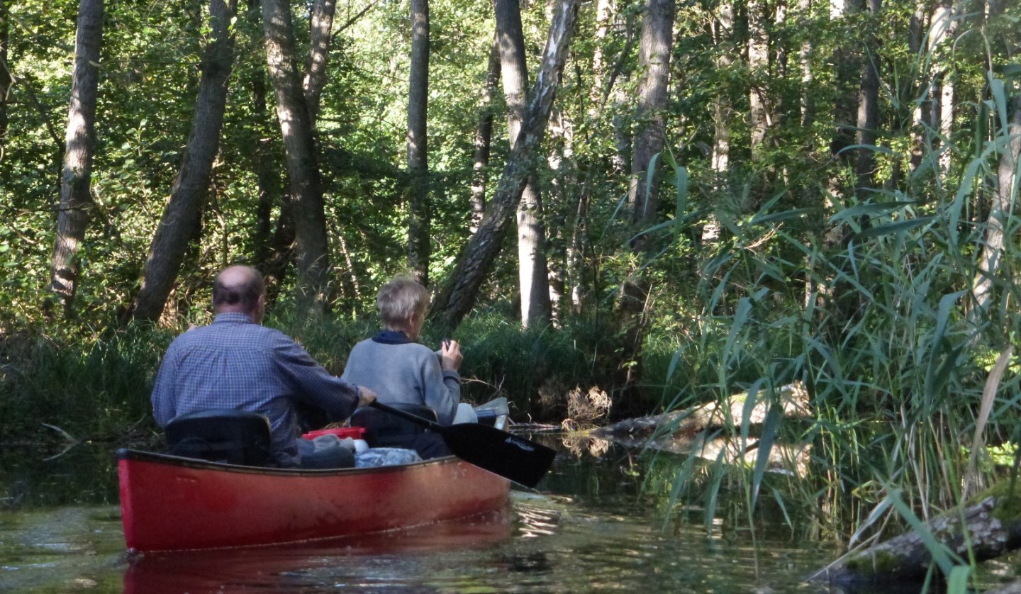 Paddling Mildenitz jungle, © Kanucamp Borkow