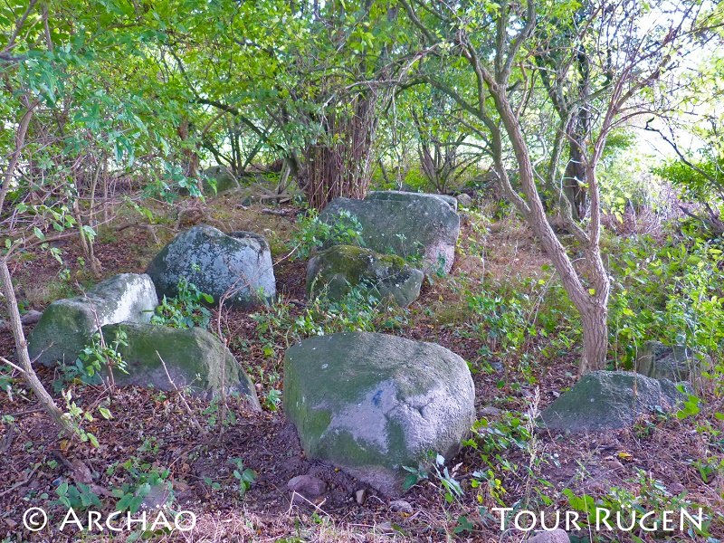 View of the megalithic tomb "Teufelsstein" near Seelvitz, © Archäo Tour Rügen