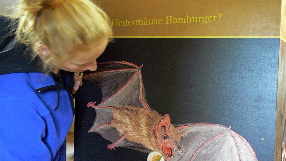 Discover the world of bats at the Kratzeburg National Park Information Center, © Nationalparkamt Müritz