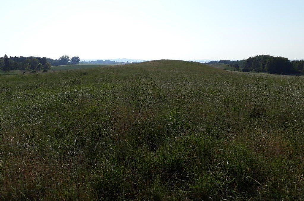 Sommersdorfer Os, view towards Lake Kummerow, © A. Groh