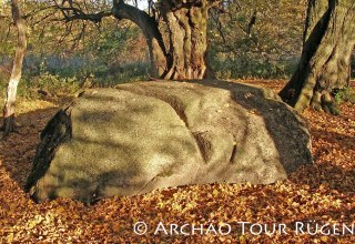 © Archäo Tour Rügen