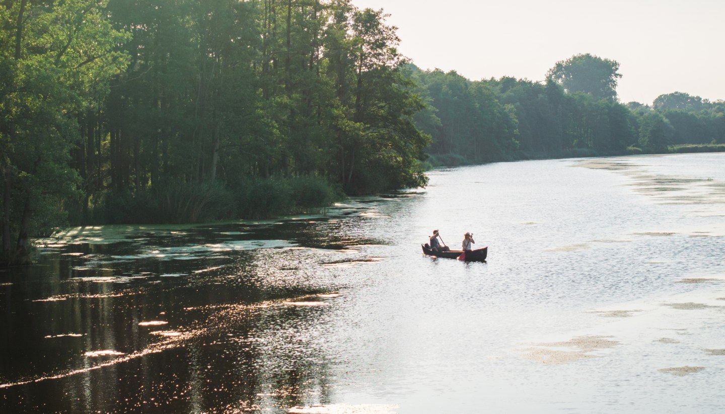 Two people paddle in a canoe on the Peene, surrounded by lush nature and sun-drenched water.