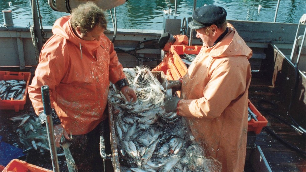 Fishermen at work at the Old Stream, © TZRM - Irma Schmidt