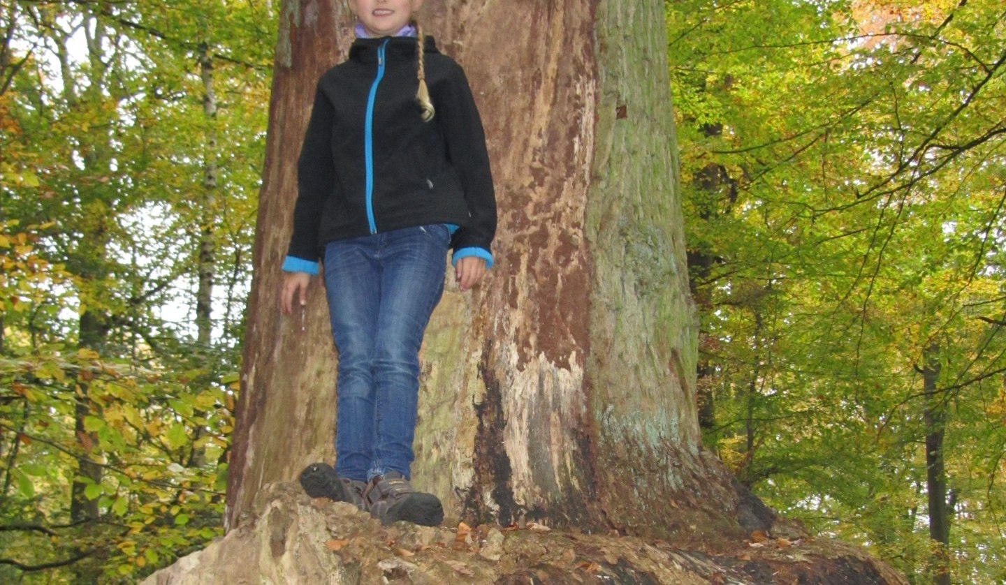 Clubfoot Oak, © Jana Koch