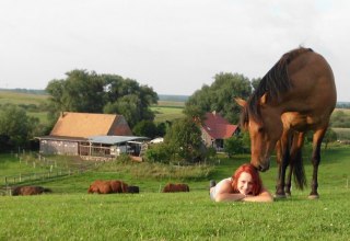 Escape from everyday life on the farm Silberweide, © Hof Silberweide/ Alrun Romanus