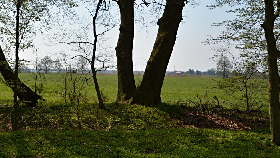 View of the meadow landscape, © Foto: Tourismusverband Mecklenburg-Schwerin