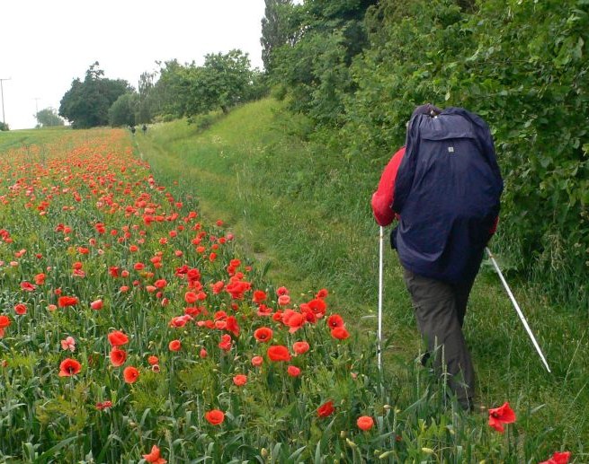 Wide land, so close to heaven - pilgrimage in Mecklenburg-Vorpommern, © Archiv Ev.-Luth. Kirchenkreis Mecklenburg