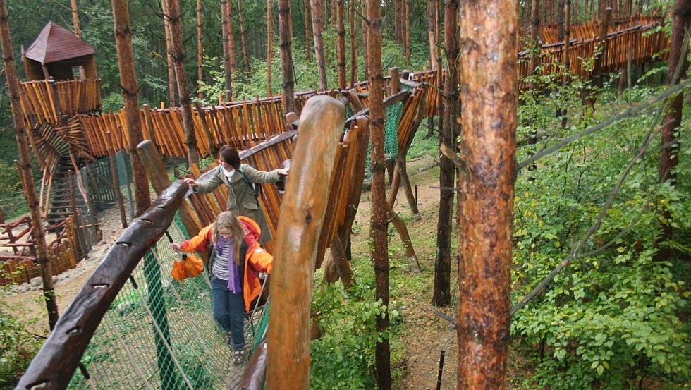 Adventurous climbing paths take you through the predator commune, © Wildpark-MV