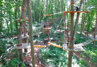 Climbing forest overview, © Michael Schicha