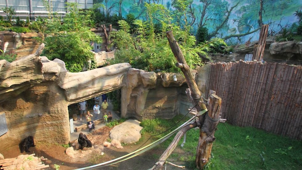 Tropical hall in the DARWINEUM at Rostock Zoo, © Zoo Rostock/Gohlke