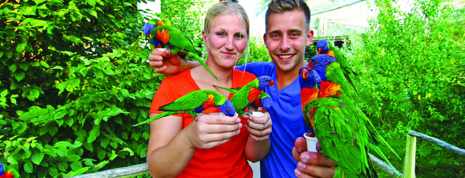 Visitors can feed the Australian loris, © Vogelpark Marlow/Zöger