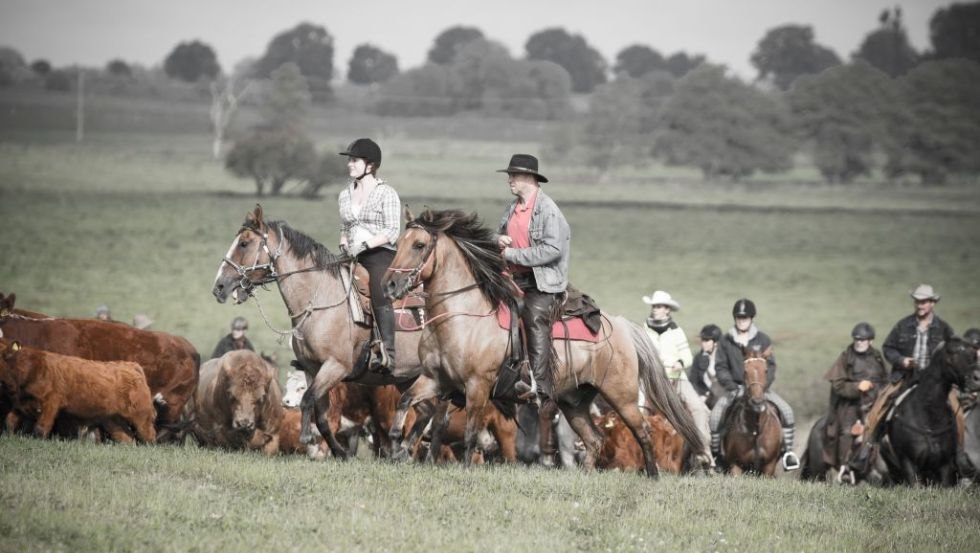 Be like the cowboys in the Wild West - at FerienGut Dalwitz., © FerienGut Dalwitz