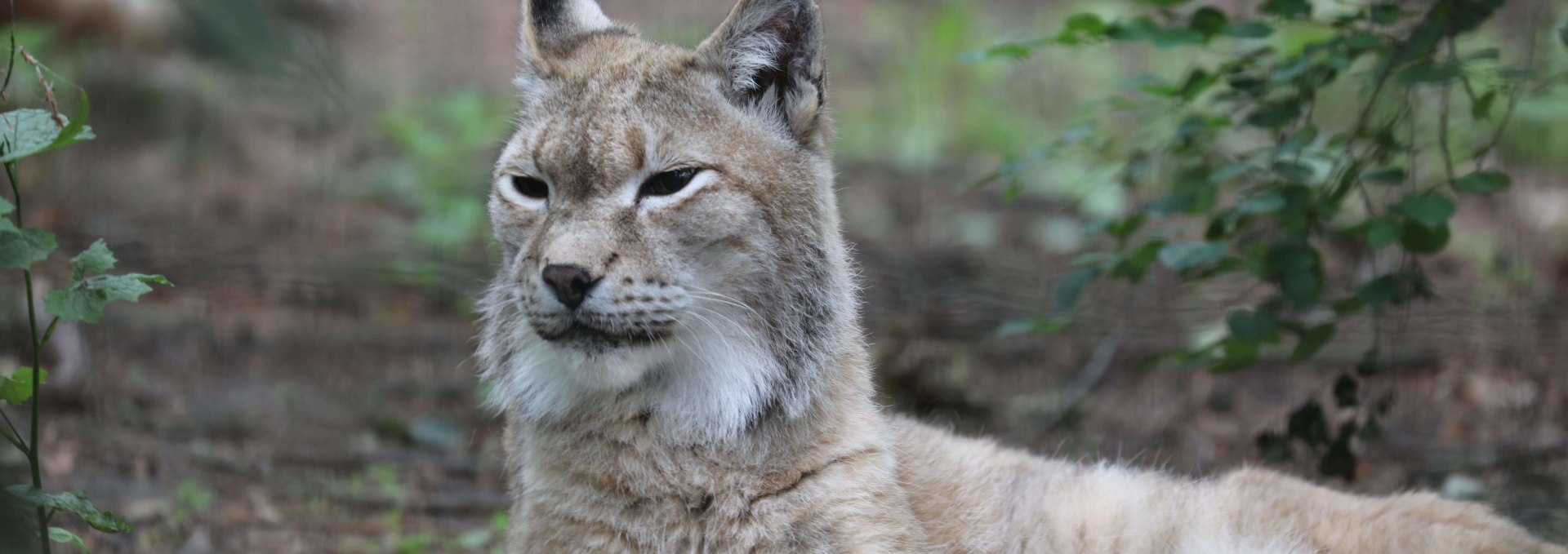 Mikroabenteuer_Zoo Rostock_Brandt, © Zoo Rostock/Brandt