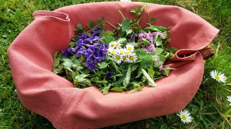 Wild herbs & flowers for consumption, © Martin Hagemann