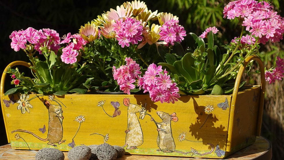 Flower box, "Mice fun in yellow", © René Perkuhn