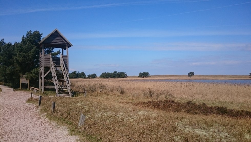 Observation tower at the Libbert lake, © UB