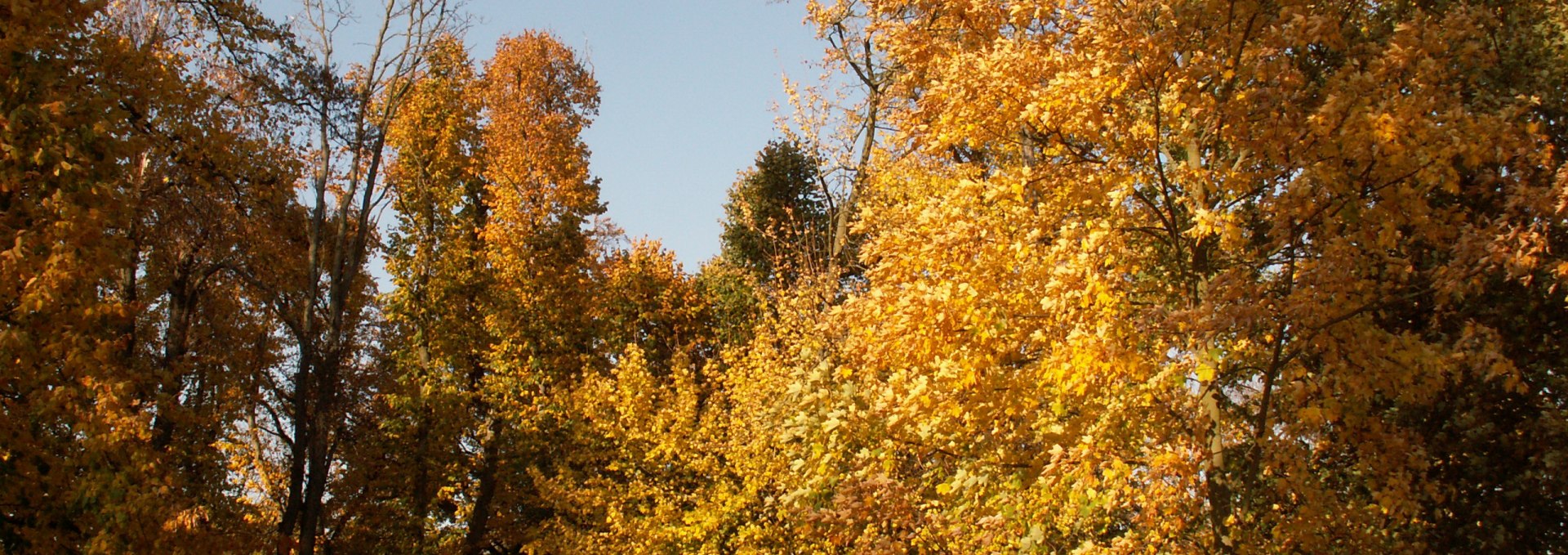 A walk in the park in autumn, © Kröger