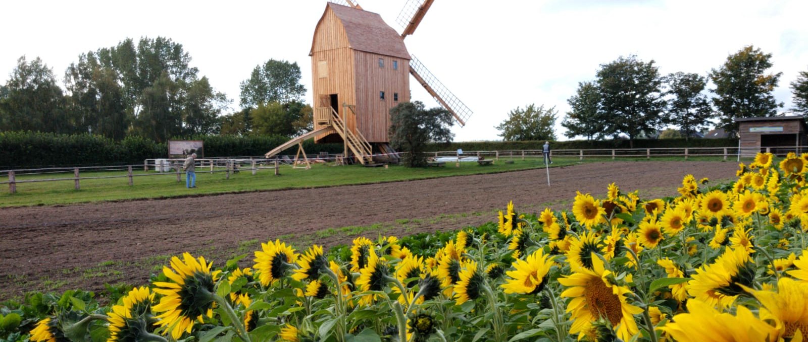 The last trestle windmill in the region is located in the Klockenhagen open-air museum., © Freilichtmuseum Klockenhagen