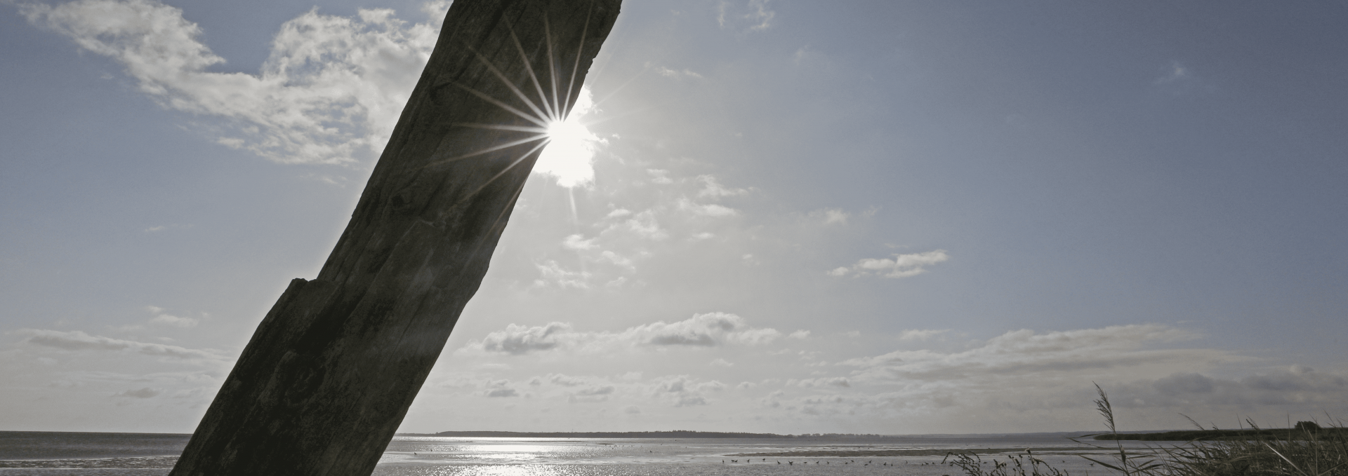 Beach Wampen, © TMV/Gohlke