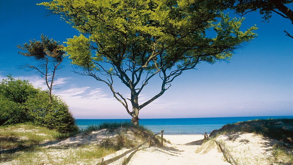 Caribbean flair on the Darss West Beach, Fischland-Darß-Zingst, © TMV/Voigt & Kranz