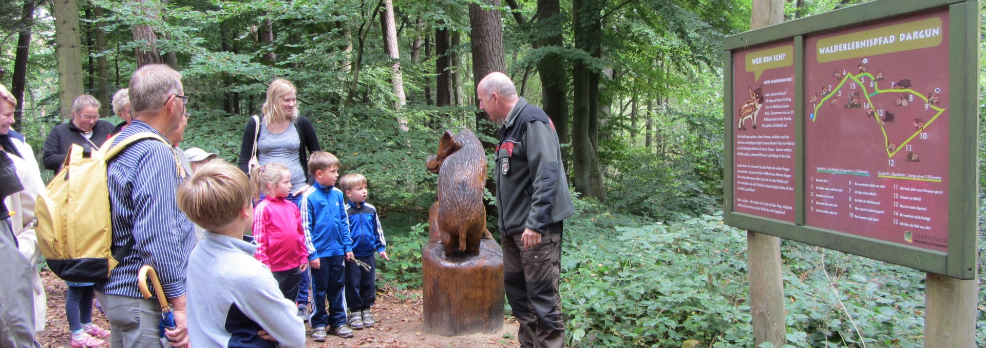 Forestry office tours the forest