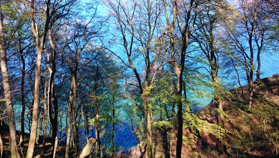 Chalk deposits make the water shimmer azure to emerald green, © TMV/Bodieschek