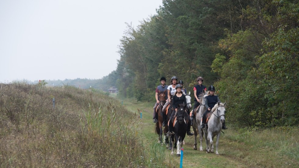 As Reiterhof Gränert we have specialized in day and trail rides with our Mecklenburg horses., © TMV/ Frank Hafemann