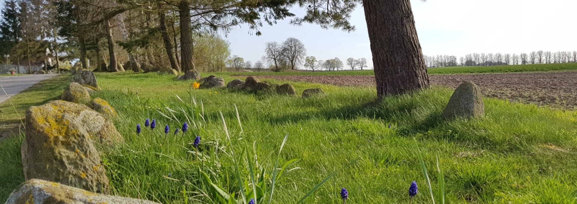 Hunebed Stralendorf, © Tourismusverband Mecklenburg-Schwerin