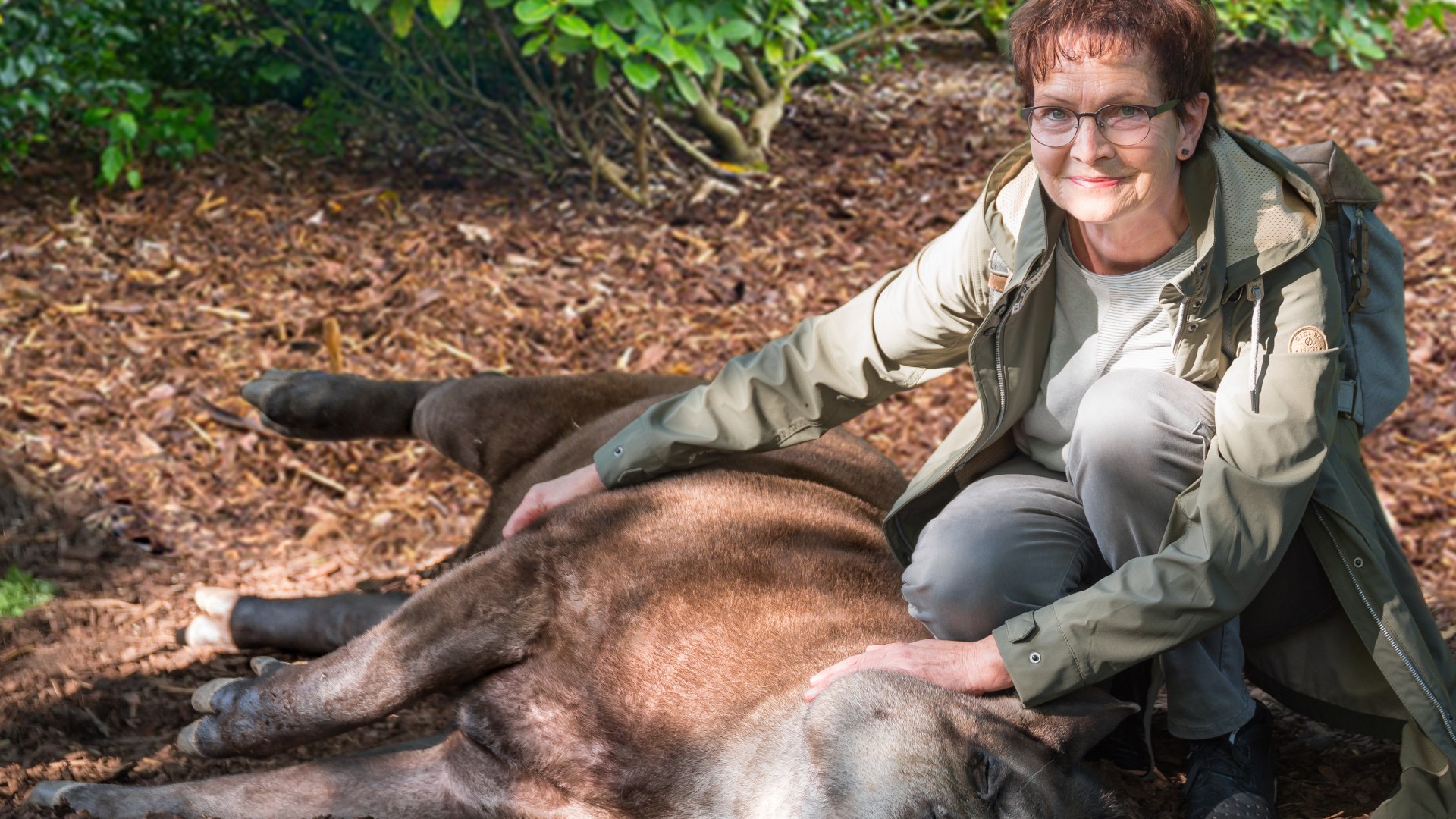 Rendezvous with your favorite animal, © Zoo Schwerin