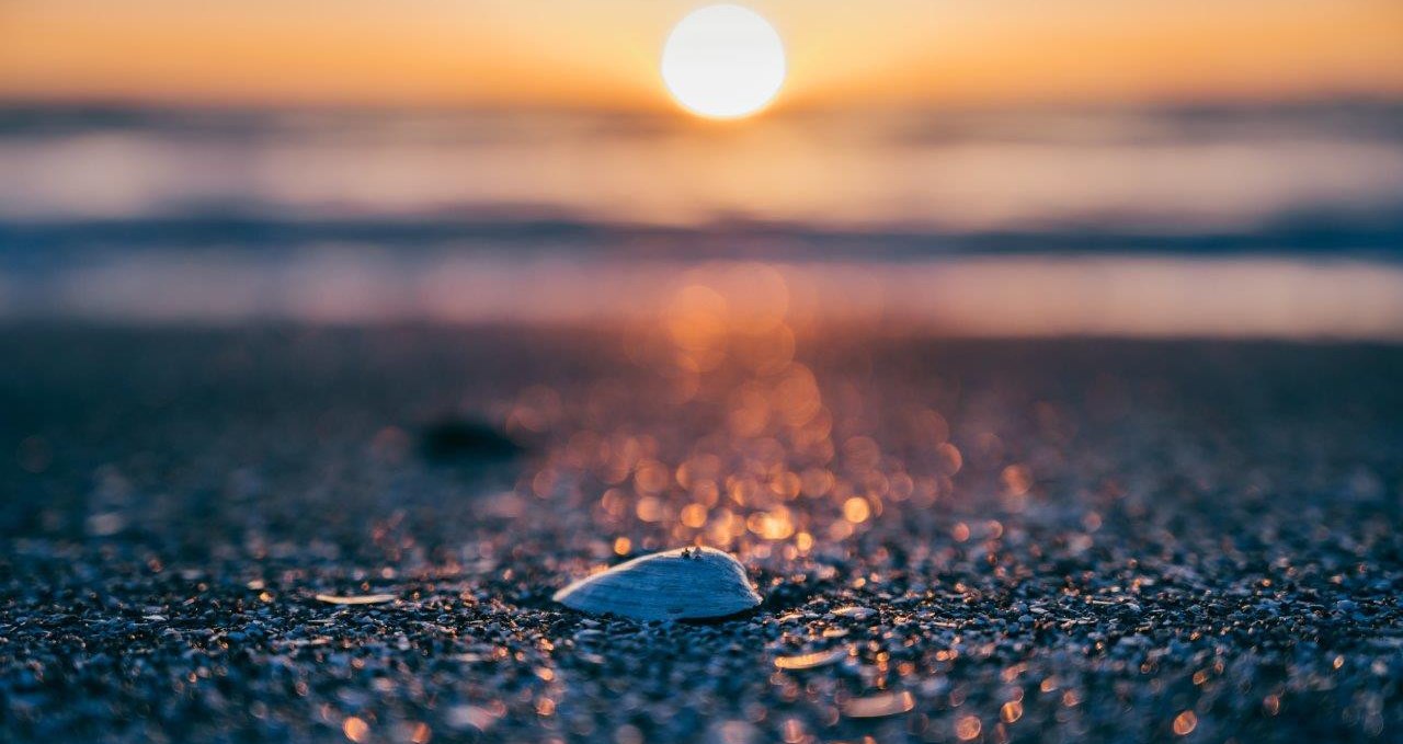 NaturWerkstatt: Strandgut, © Binzer Bucht Tourismus