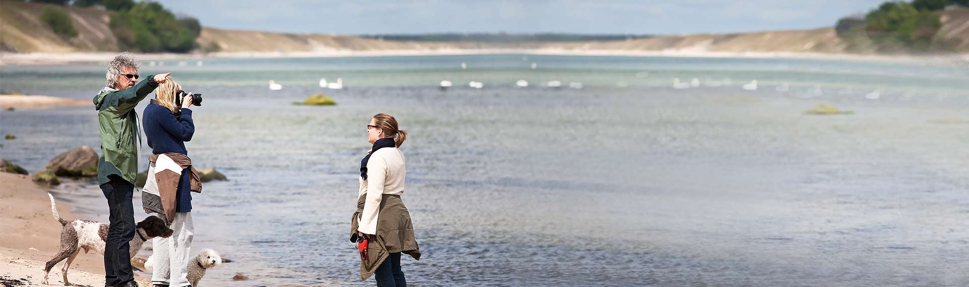 Active holiday and birdwatching, © Gästehaus Lietzow & Störtebeker Camp