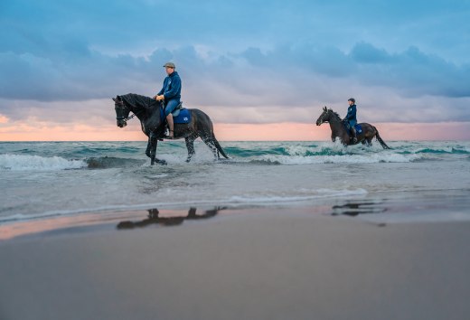 Fischland-Darß-Zingst, © TMV/Tiemann