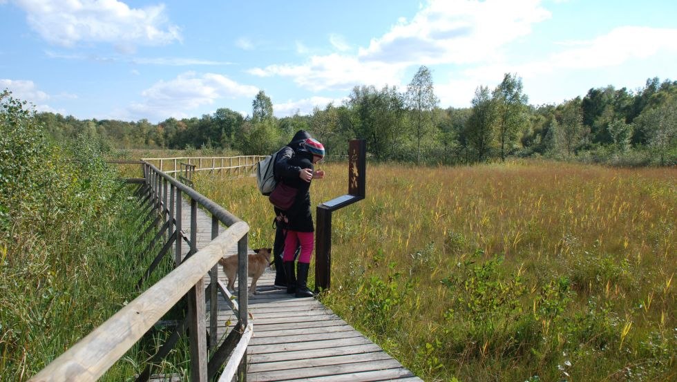 The nature trail through the Zarrentiner Kalkflachmoor begins directly behind the PAHLHUUS, © PAHLHUUS/Dornblut