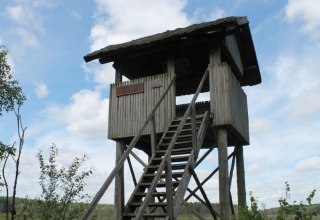 Observation Tower Great Serrahnsee, © TMV/Bodieschek