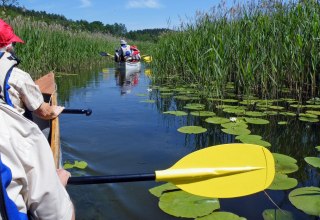 on a canoe safari through the Müritz National Park, © Kanu-Hecht