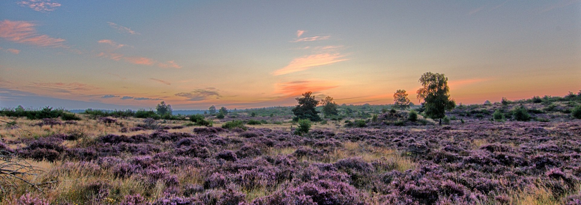 Picture-1 The Lübtheen Heath, © Uwe Meyer