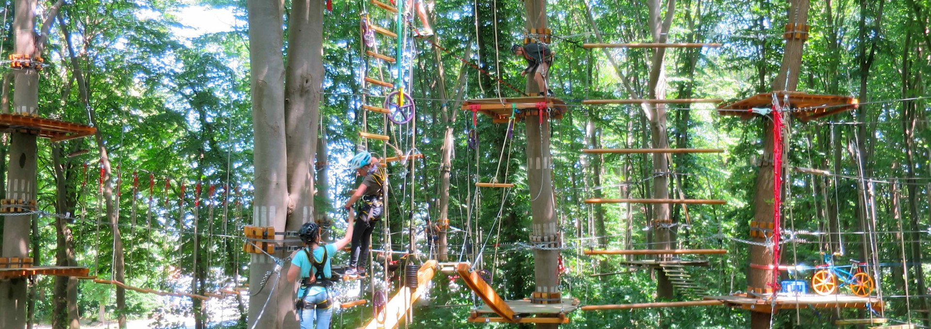 Climbing forest overview, © Michael Schicha