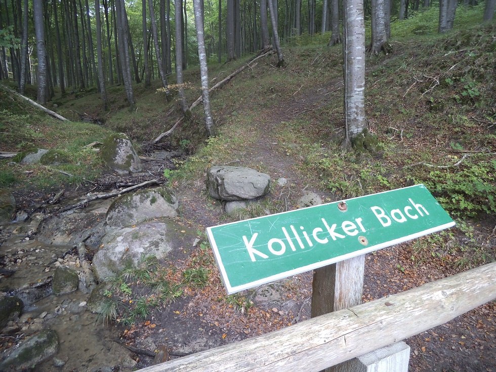 Kollicker Bach in Jasmund National Park, © Tourismuszentrale Rügen