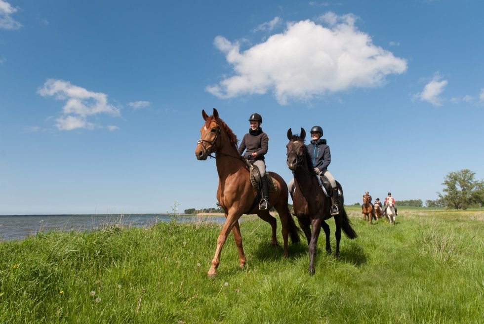 Riding through the country between the Baltic Sea and Mecklenburg Lake District, © TMV/Frank Hafemann