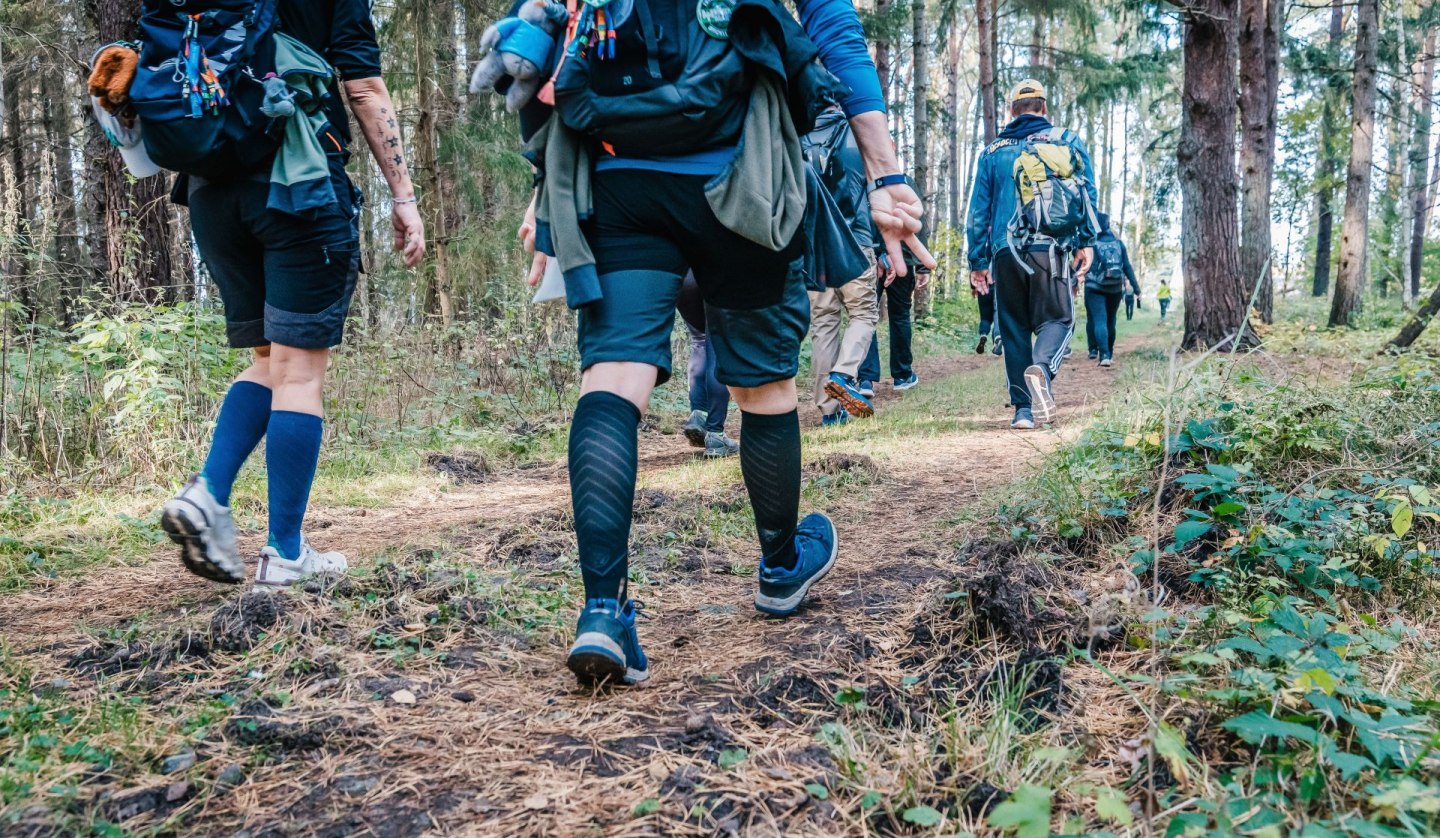 Hikers on the Rügen 2024 mega march through the forest, © TVR / Mirko Boy