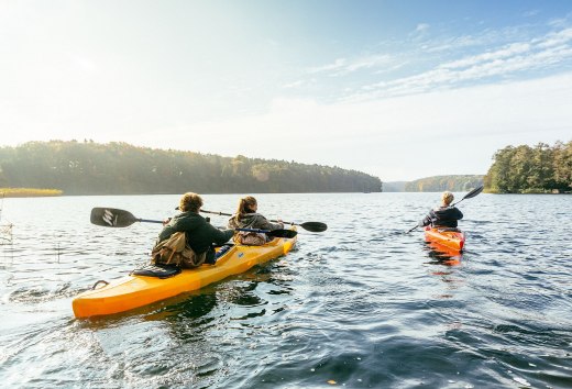 Get close to nature by canoe in the Mecklenburg Lake District, © TMV/Roth