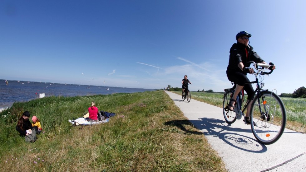 While cycling you can enjoy fantastic views of the National Park of Vorpommersche Boddenlandschaft, © TMV/Raff