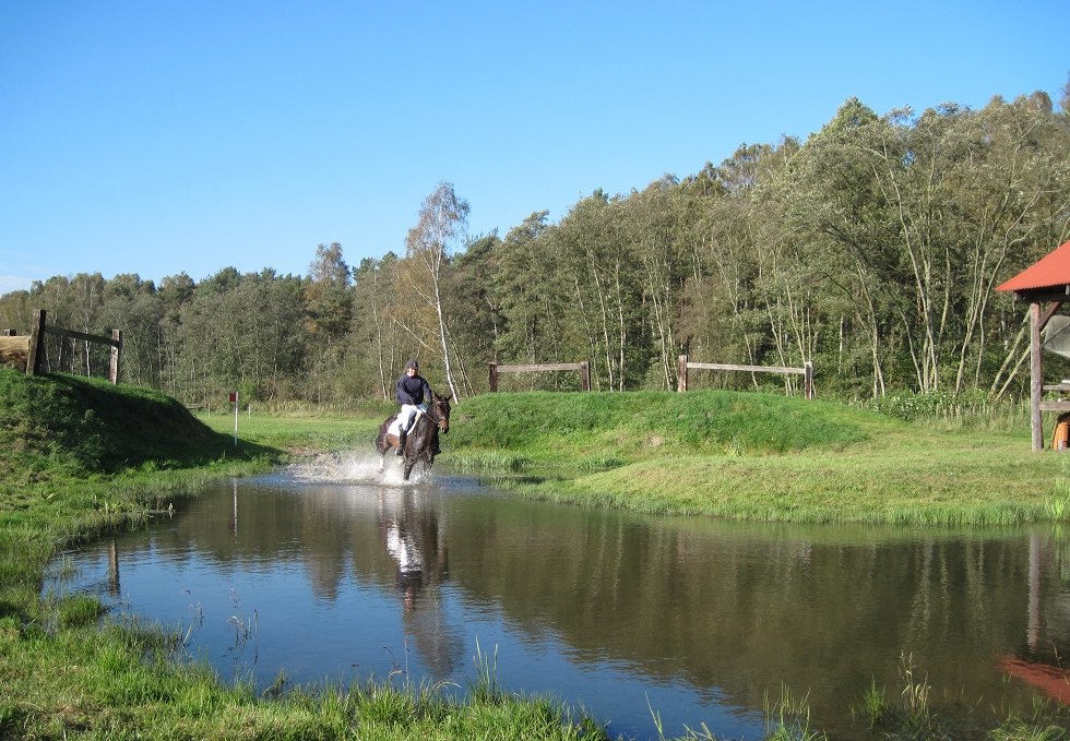 Consulant in water, © Trakehnerhof Valluhn