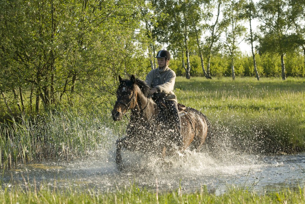 On her day ride the rider crosses a pond along the way, © TMV/ Hafemann