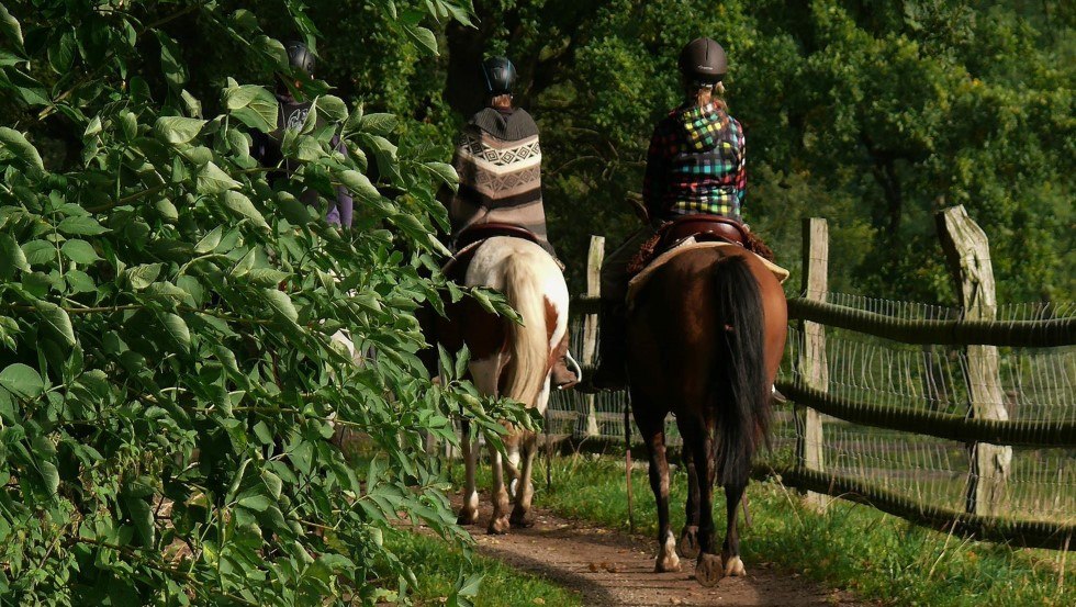 Spend the vacations with the horses in Mecklenburg ParkLand, © Mecklenburger ParkLand/Feriengut Dalwitz und La Primera