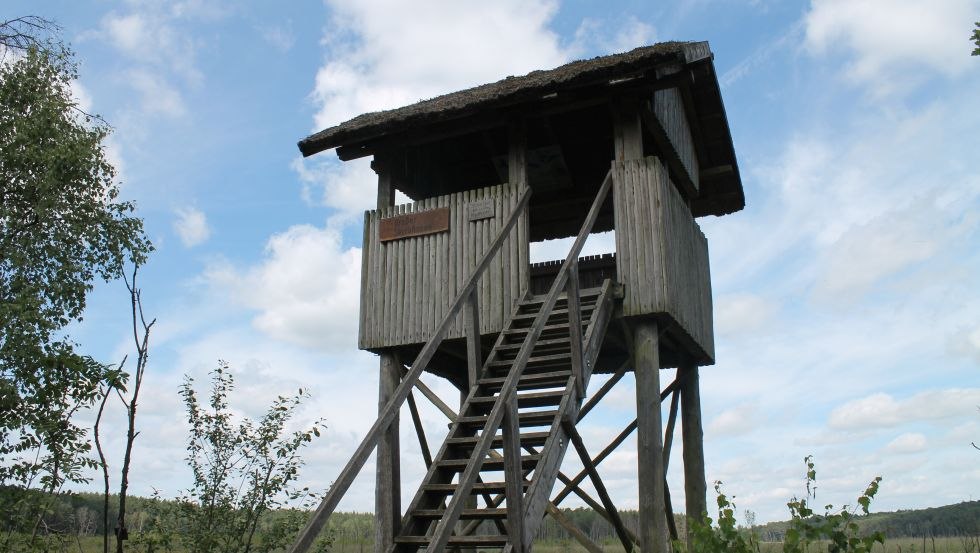 Observation Tower Great Serrahnsee, © TMV/Bodieschek