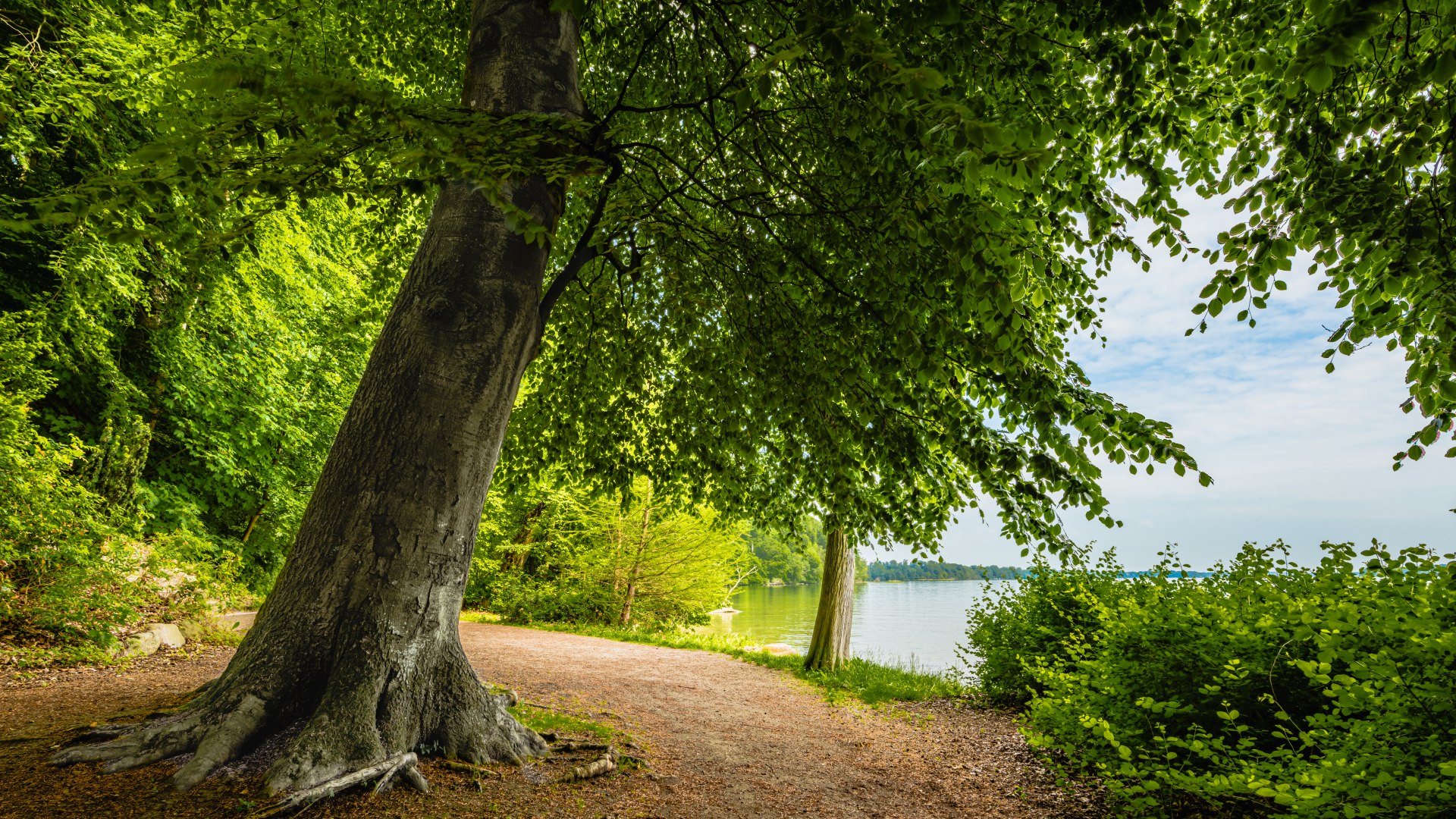 There are many kilometers of promenade through the Wiligrad castle park., © TMV/Tiemann