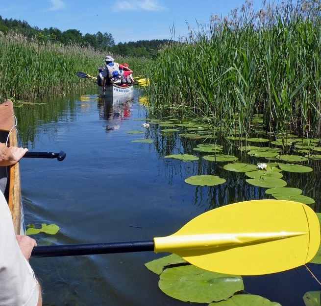 on a canoe safari through the Müritz National Park, © Kanu-Hecht